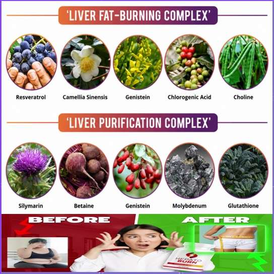 ResveraBurn Ingredients